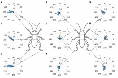 Descending and Ascending Signals That Maintain Rhythmic Walking Pattern in Crickets